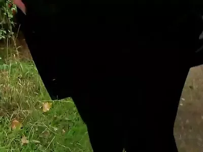 സുന്ദരിയായ സുന്ദരി എന്റെ കോഴിയെ ആസ്വദിക്കുന്നു