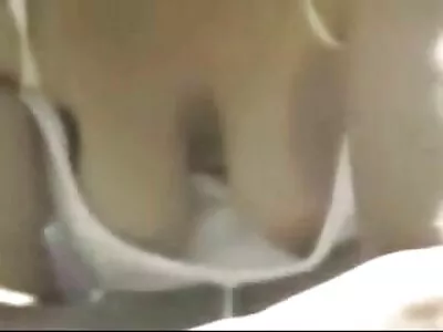 വേഗത്തിൽ സവാരി ചെയ്യുന്ന കൊമ്പൻ പശുക്കുട്ടി