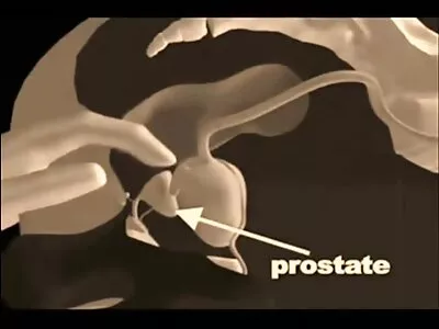 അലിസയും യൂജെനും